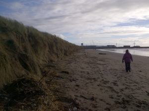 Tonnau mawr o stormydd a llanw uchel Ionawr 2014 wedi torri mewn i dwyni tywod ar draeth Abertawe