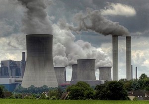 Llun: Bruno D. Rodrigues Creative Commons